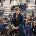 Fantastic Beasts and Where to Find Them stills