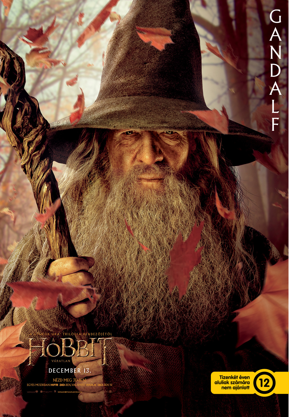 Hobbit_Karakterplakátok_Gandalf.jpg