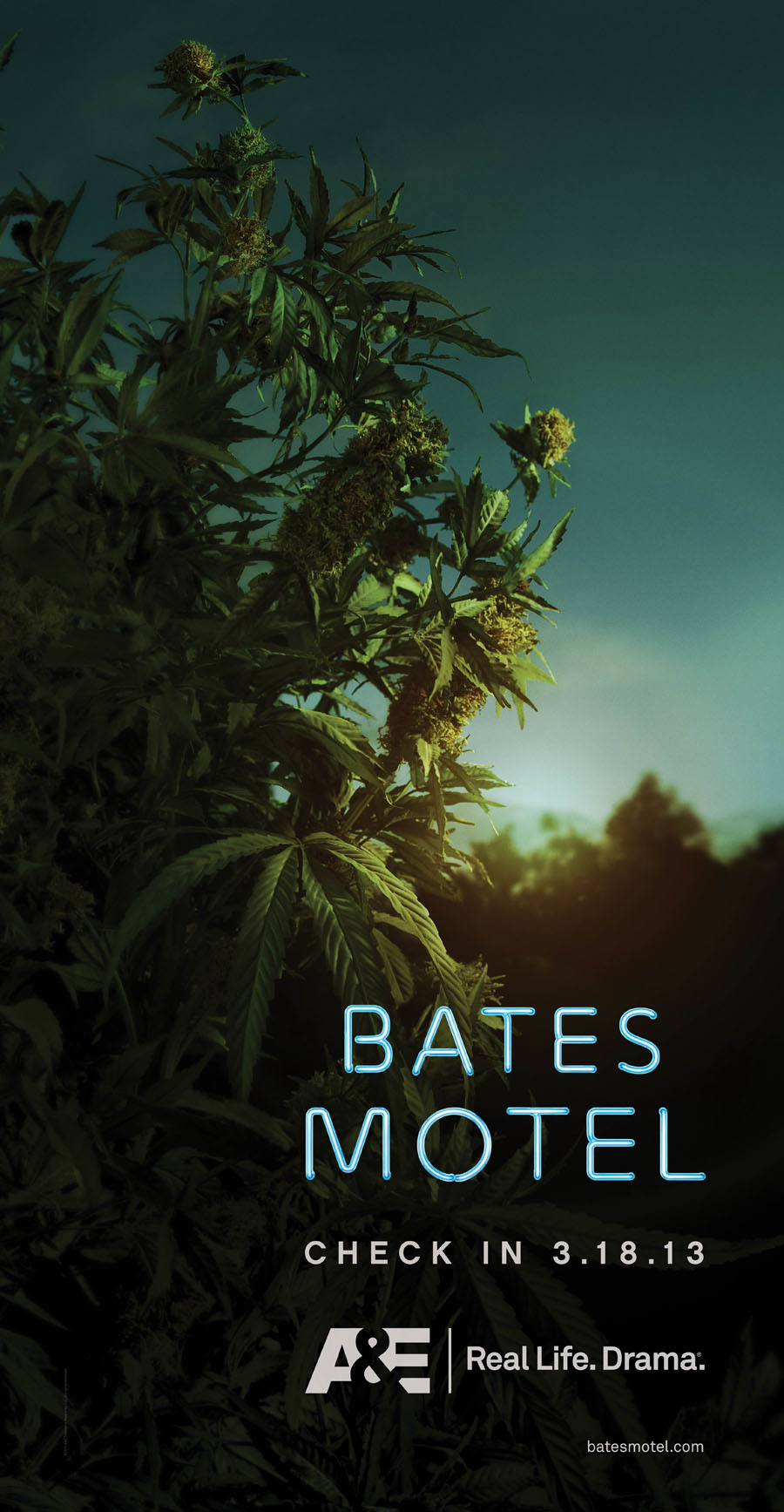 bates-motel-poster-plant.jpg
