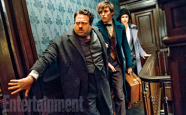 fantastic-beasts-and-where-to-find-them-dan-fogler.jpg