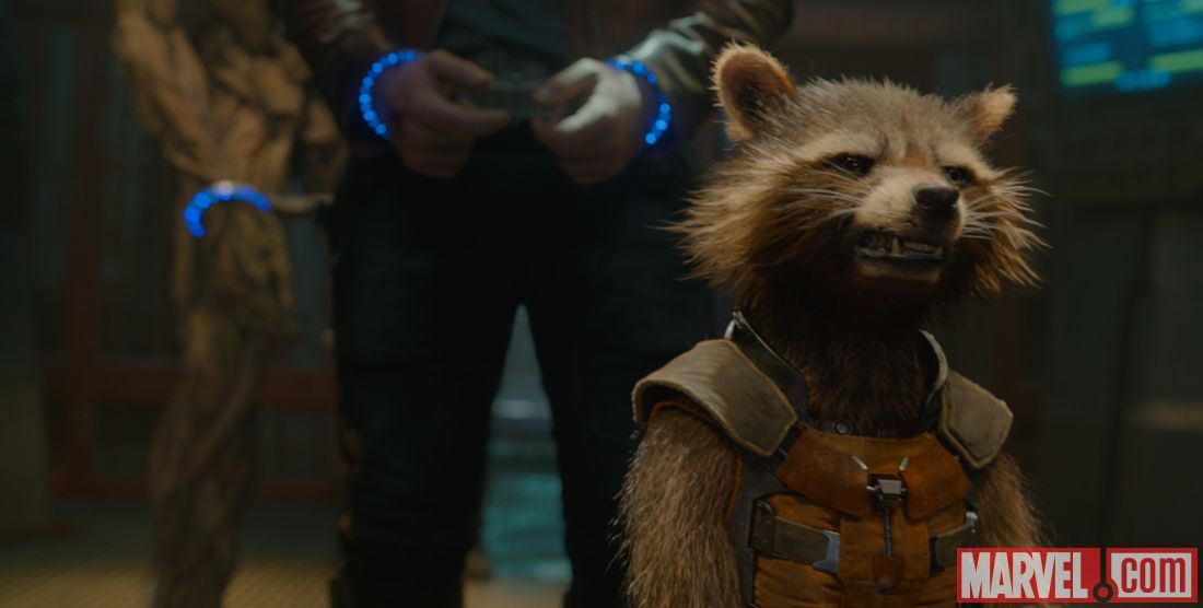 guardians-of-the-galaxy-rocket-raccoon-sneer.jpg