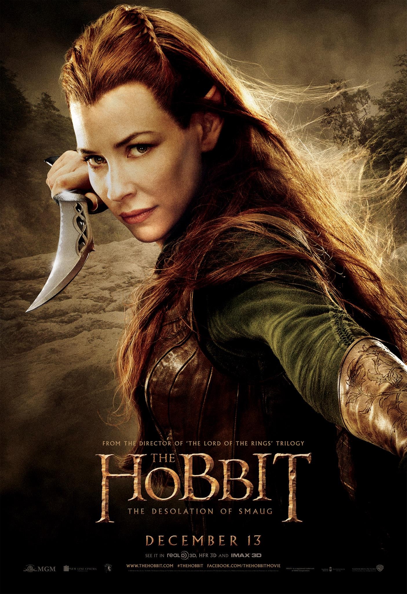 hobbit_the_desolation_of_smaug_ver13_xxlg.jpg