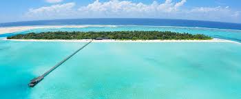 maldive3.jpg