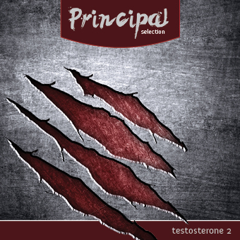 principal-153.jpg