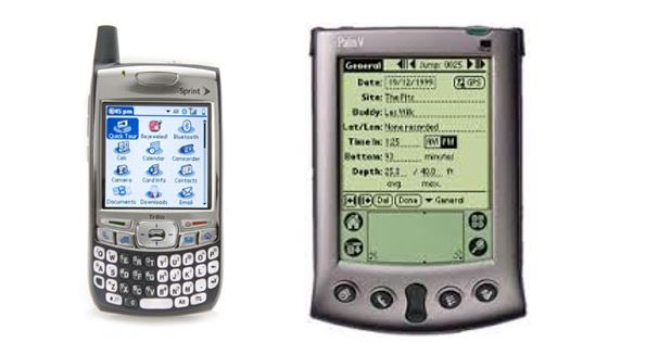 palm1.JPG