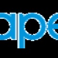 Diapers.com sikertörténete