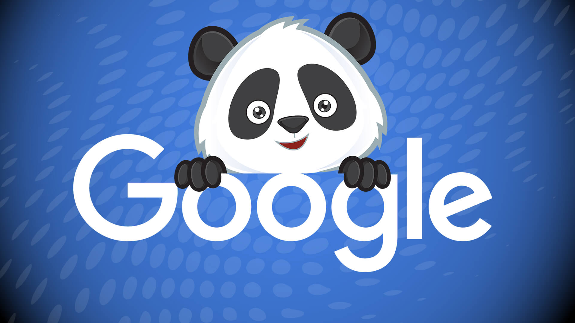 google-panda-name3-ss-1920.jpg