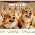 Corgi Találkozó A Hegyvidék Bevásárlóközpontban – Budapest Okt. 11