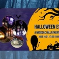 Halloween-est a Miskolci állatkertben 2025 Okt. 31