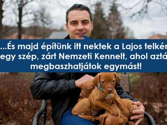 Vona, Simicska, a haszon, az üvegplafon – és a demokrácia