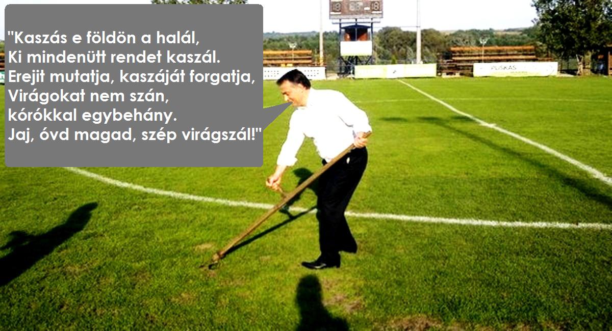 Kaszás.jpg