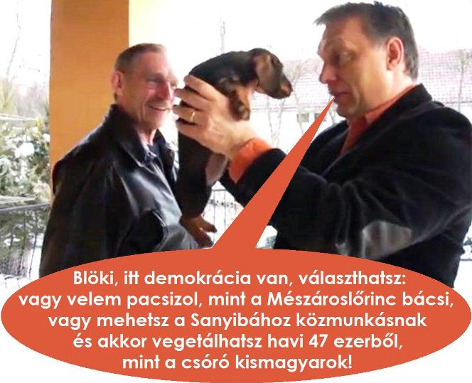 Pacsidemokrácia.jpg