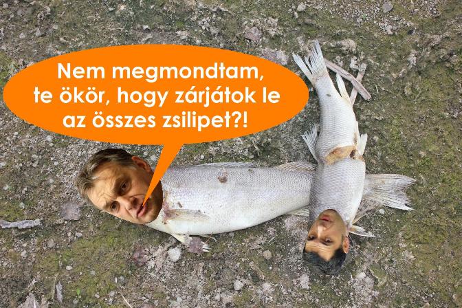 Zsilipek.jpg