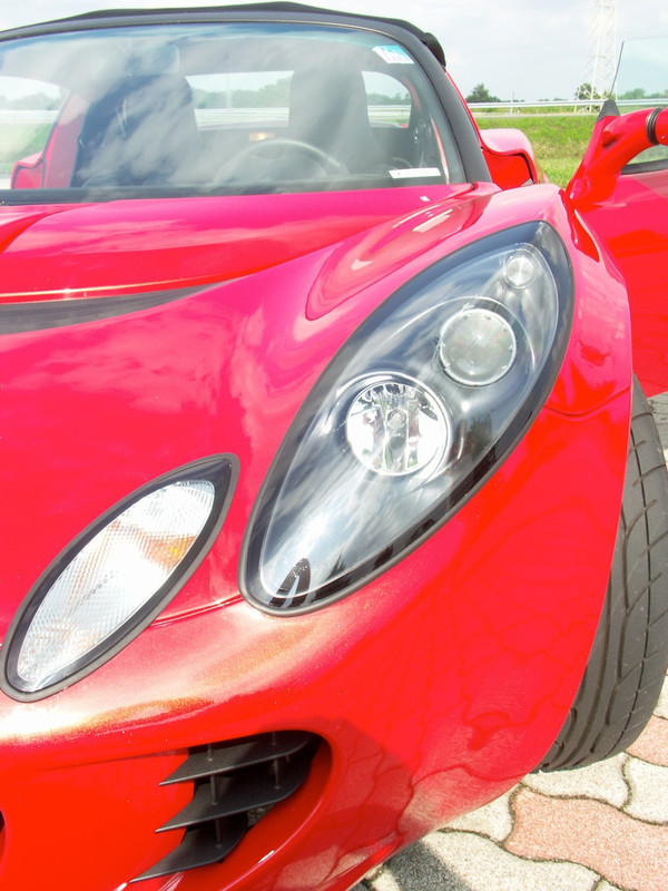 lotuselise8