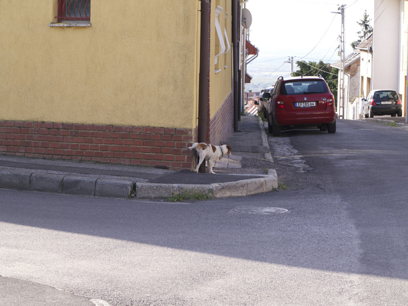 nem bírálja felül másik blöki nyomát