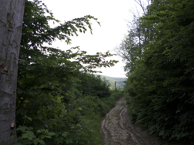 IMG 4257
