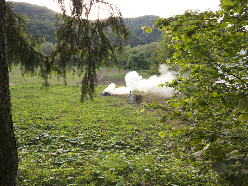 IMG 4263