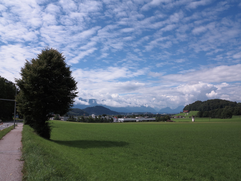 fünf