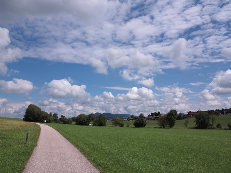 sieben