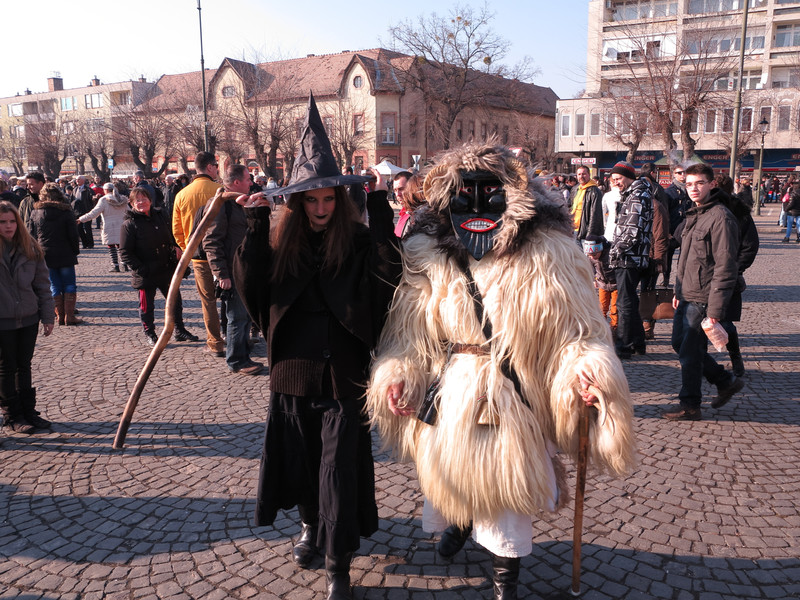 IMG 6867