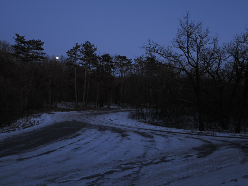IMG 0115