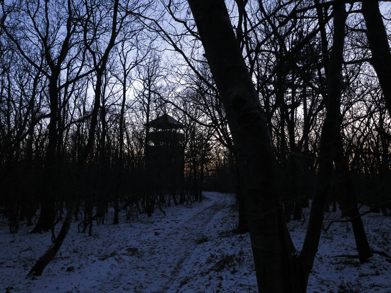IMG 0116