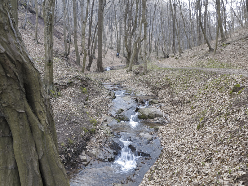 IMG 0542