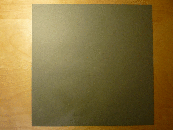 animation.gif