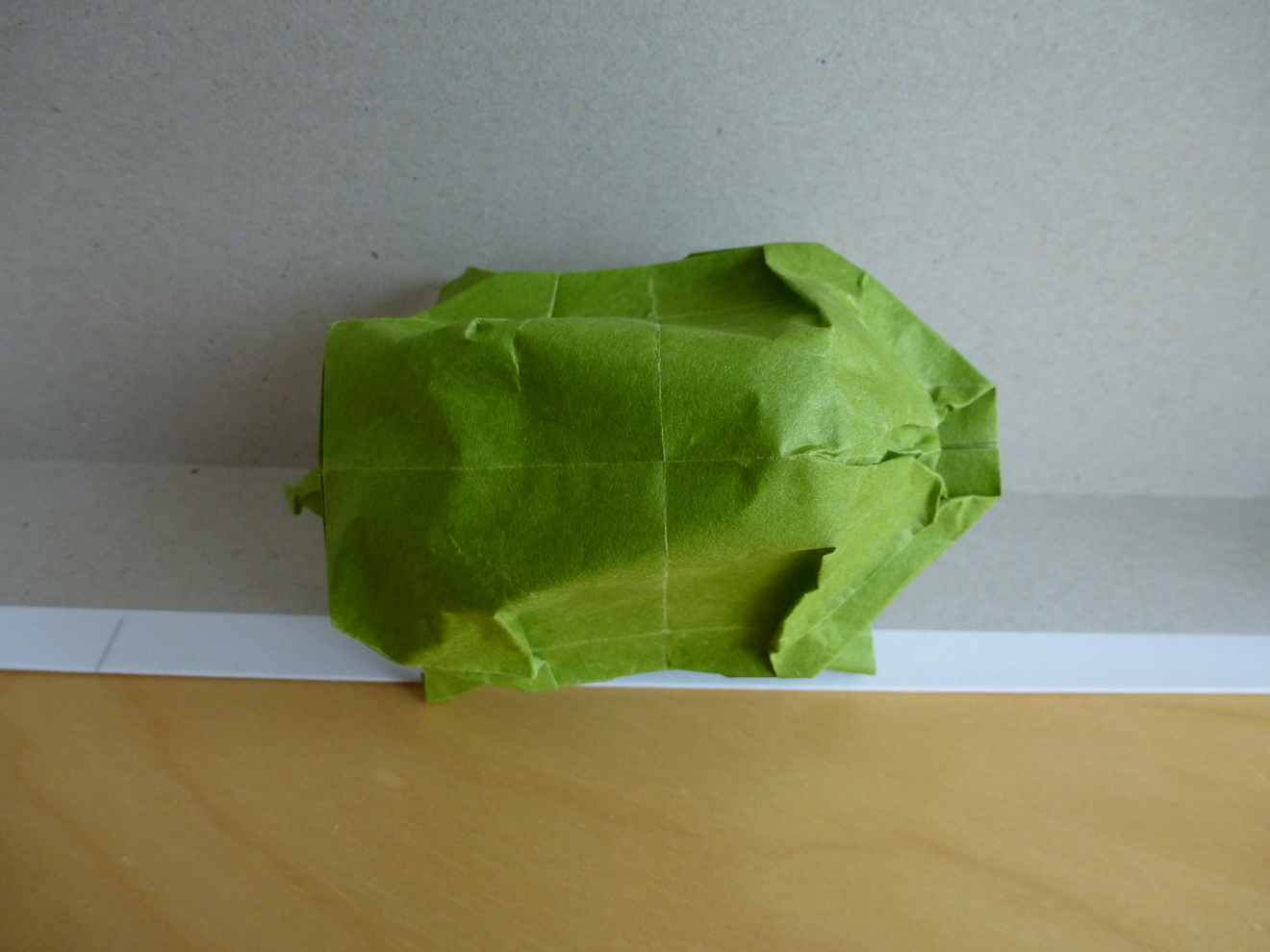thumb_p1050554.JPG