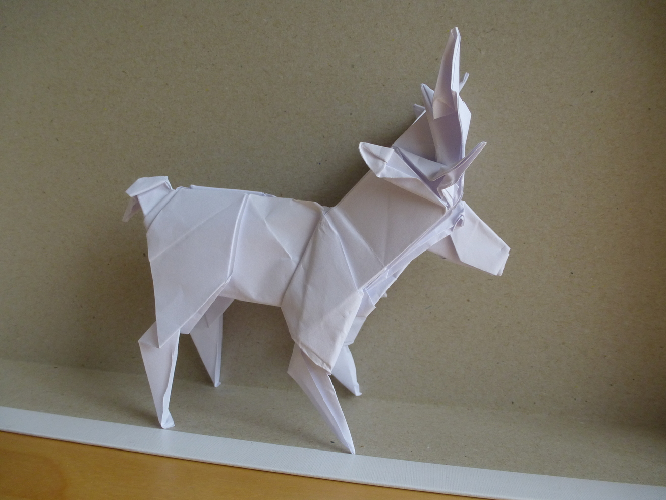 thumb_p1050740.JPG