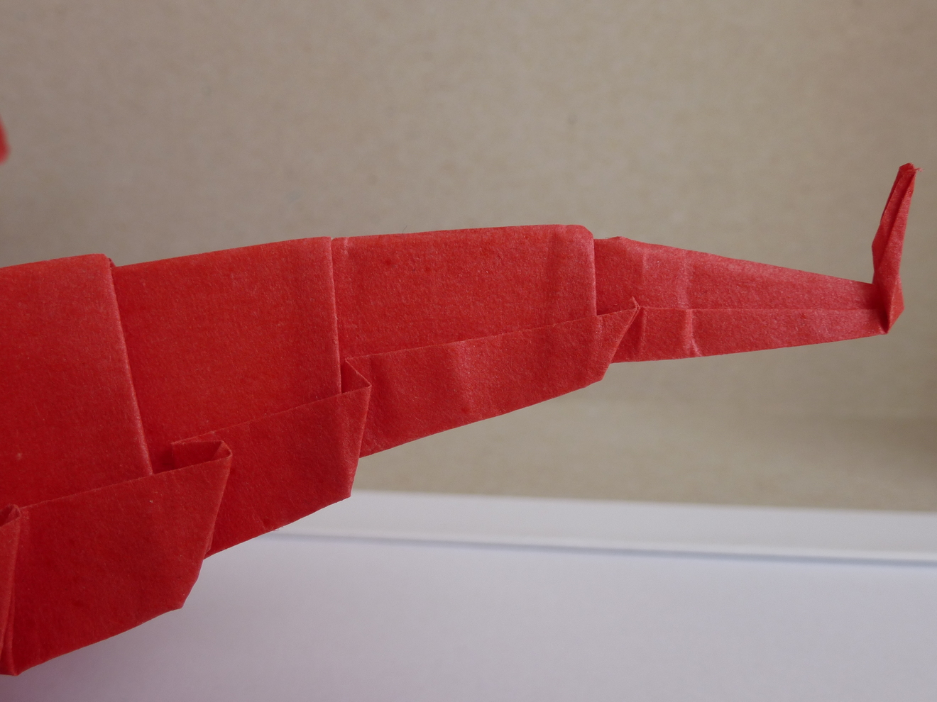 thumb_p1050913.JPG