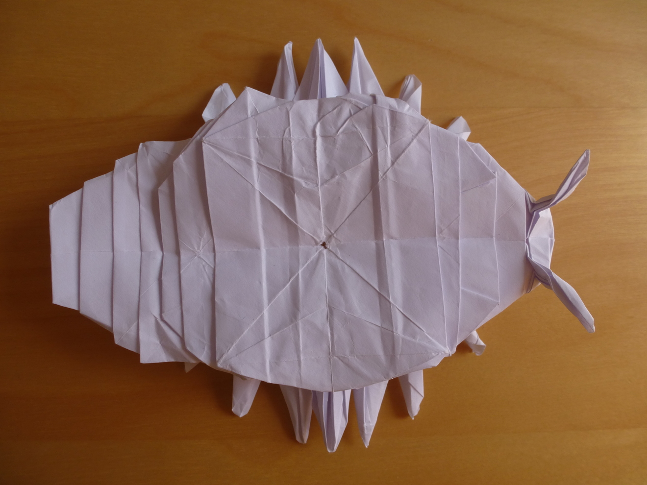 thumb_p1060389.JPG