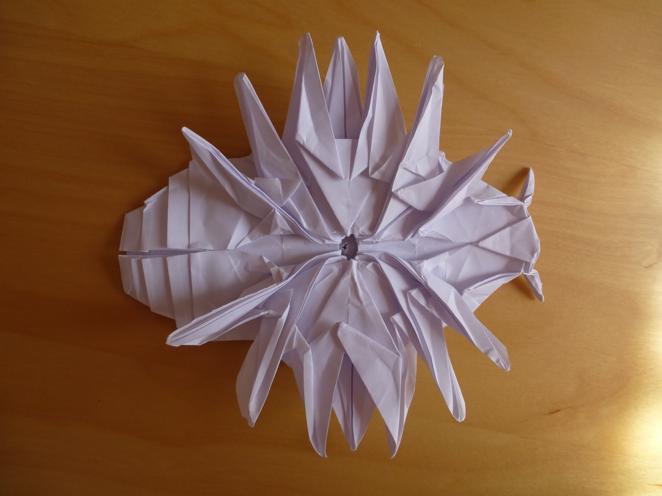 thumb_p1060391.JPG