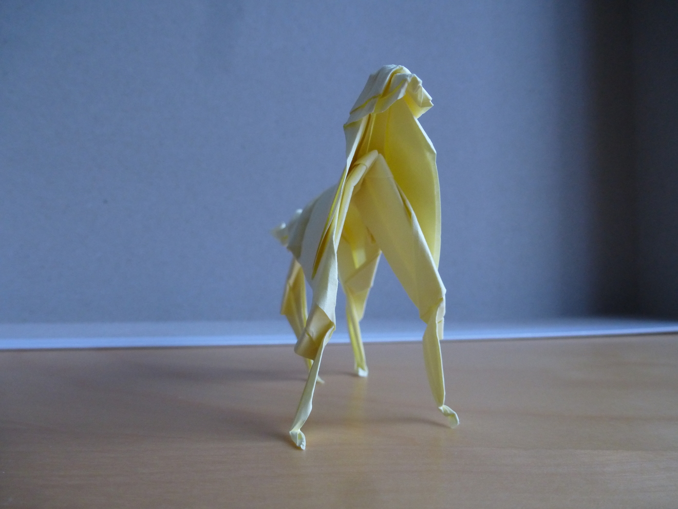 thumb_p1060680.JPG