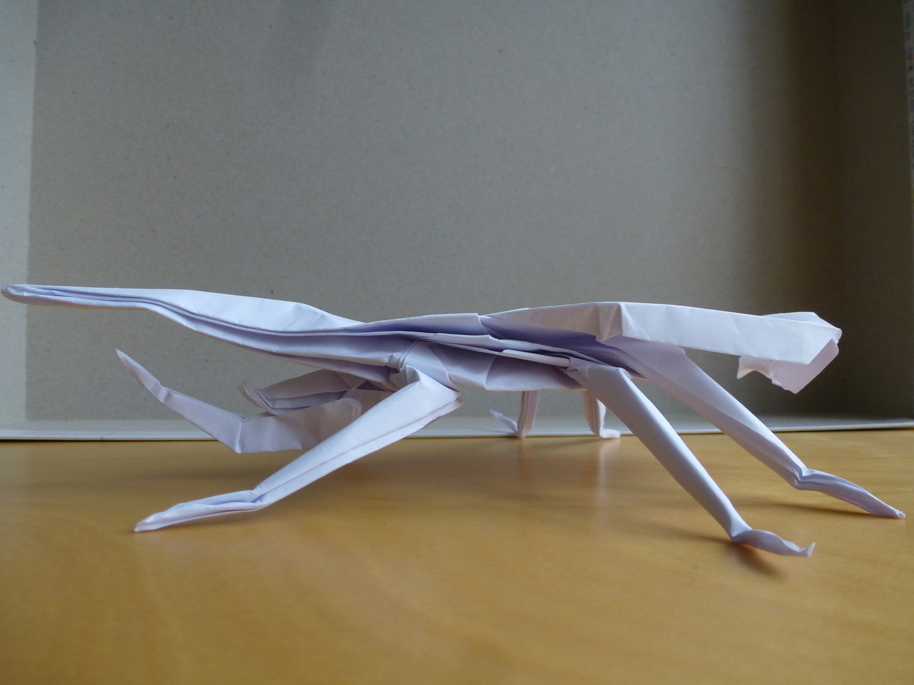 thumb_p1060687.JPG