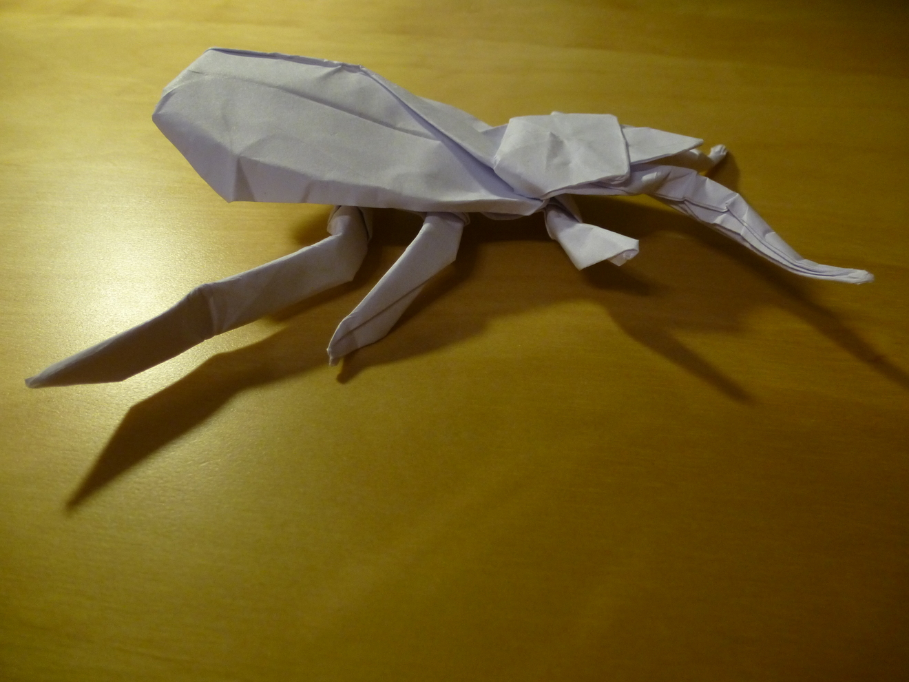 thumb_p1060963.JPG