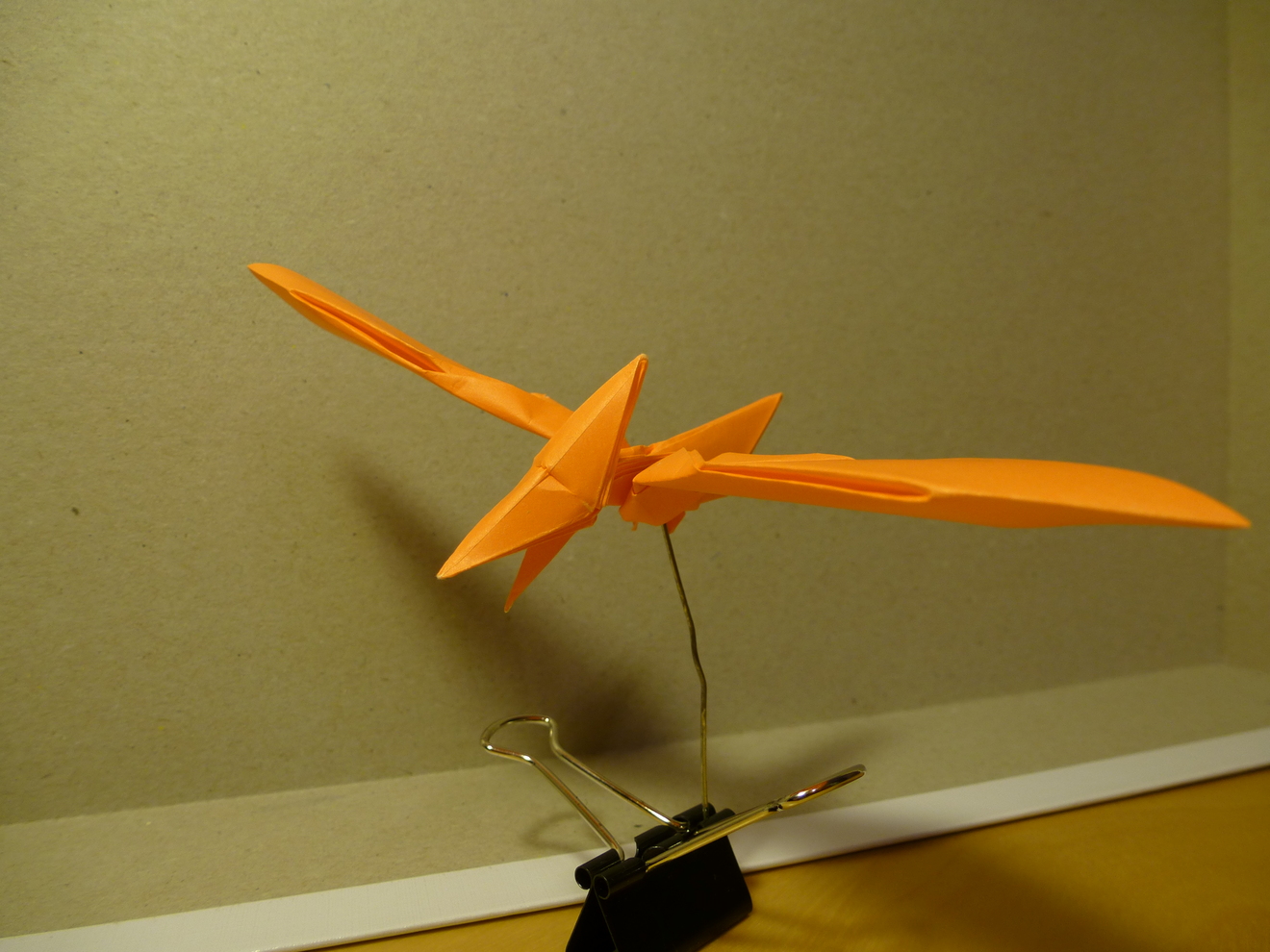 tinyp1050322.JPG