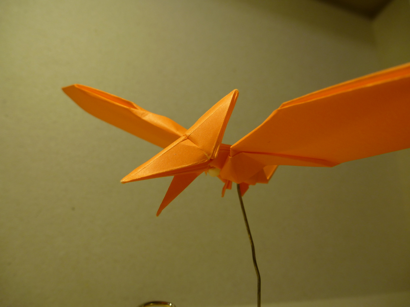 tinyp1050325.JPG