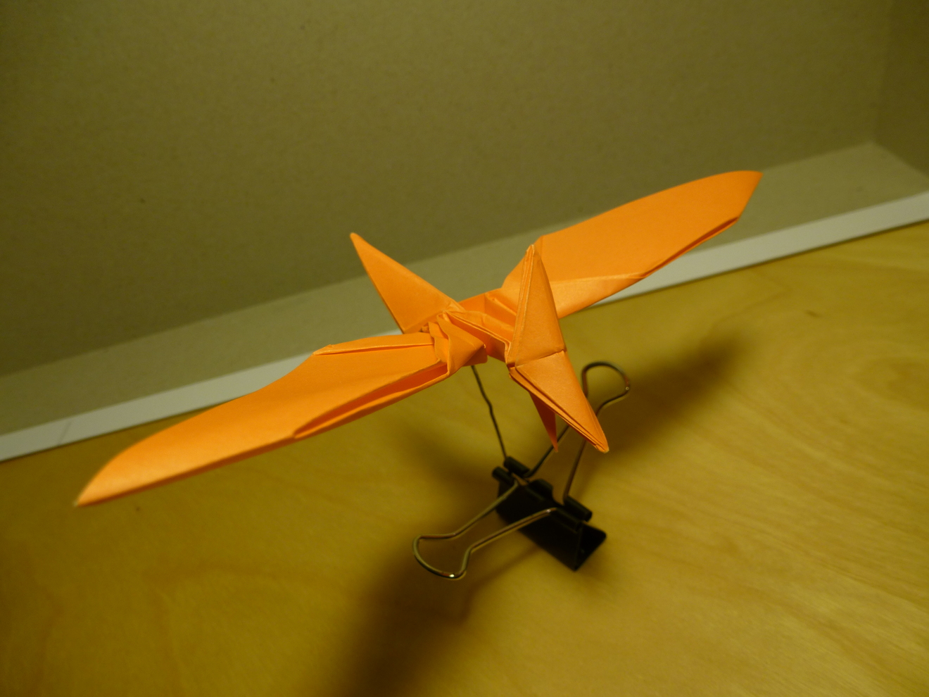 tinyp1050327.JPG