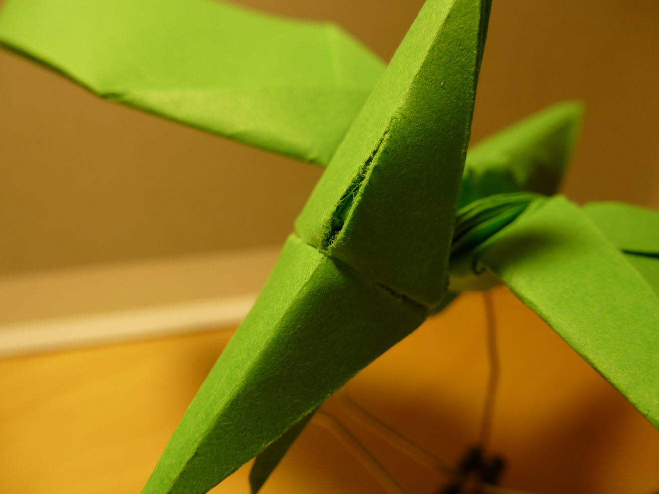 tinyp1050331.JPG