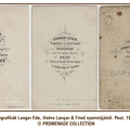 Kőnyomatos hazai verzógrafikák az 1860-as évek első felében