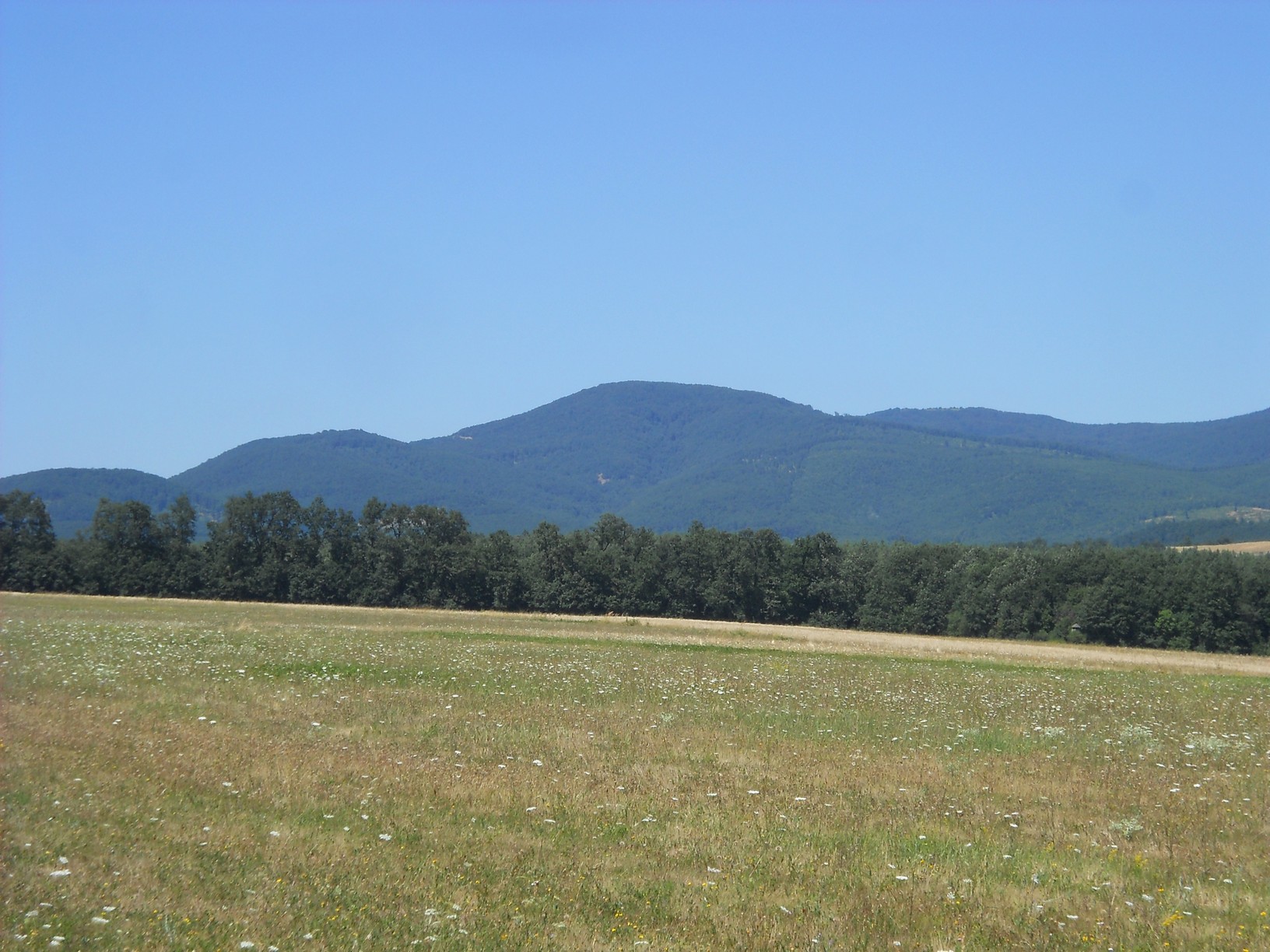 Széles panoráma nyílik a Börzsöny csúcsaira a Békás-rétről is