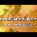 Nógrádi György előadása: Németh Szilárd is megirigyelné