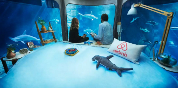 airbnb-shark-paris-aquarium-bedroom-1.jpg