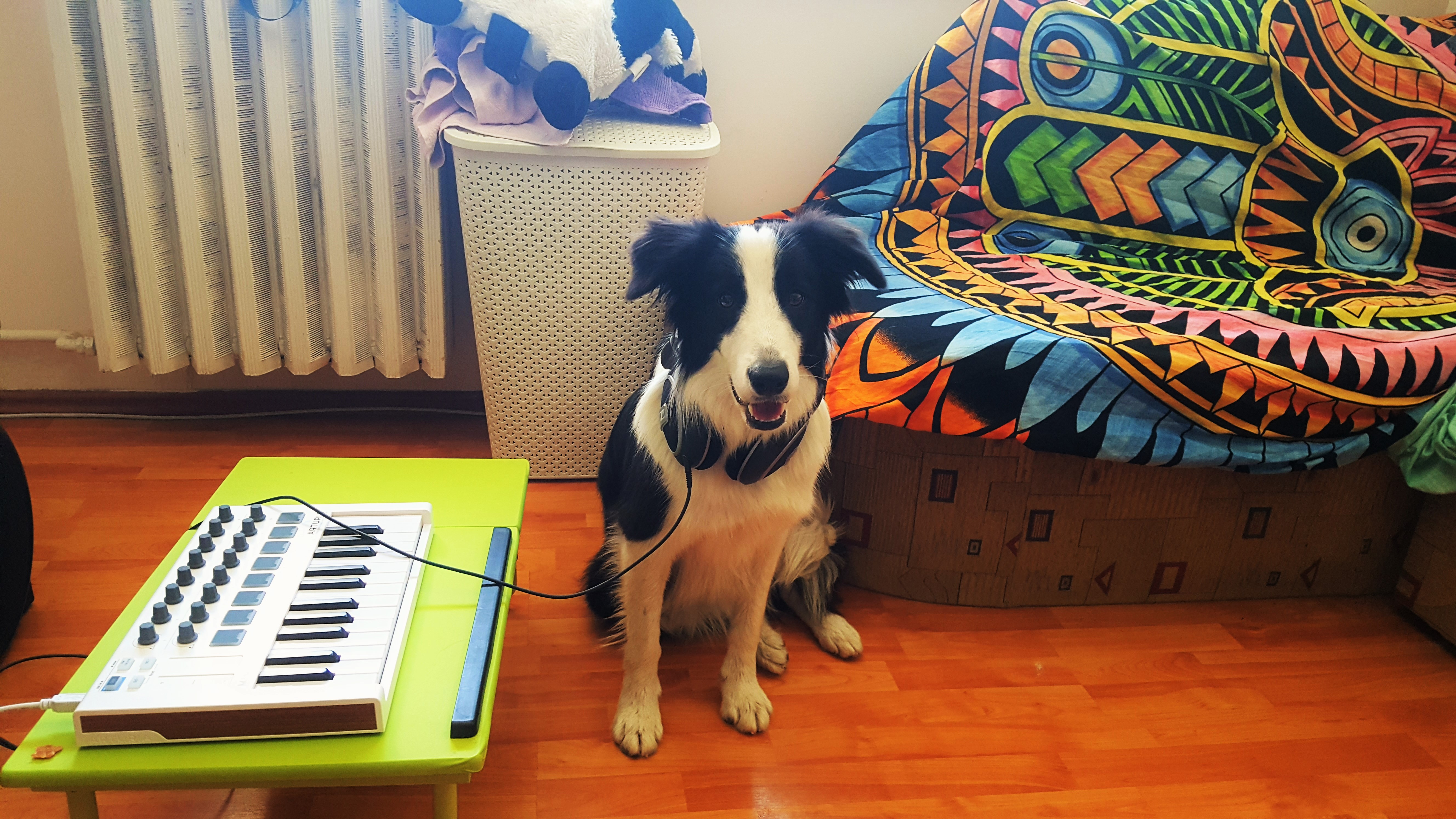 20180927_113339_2.jpg