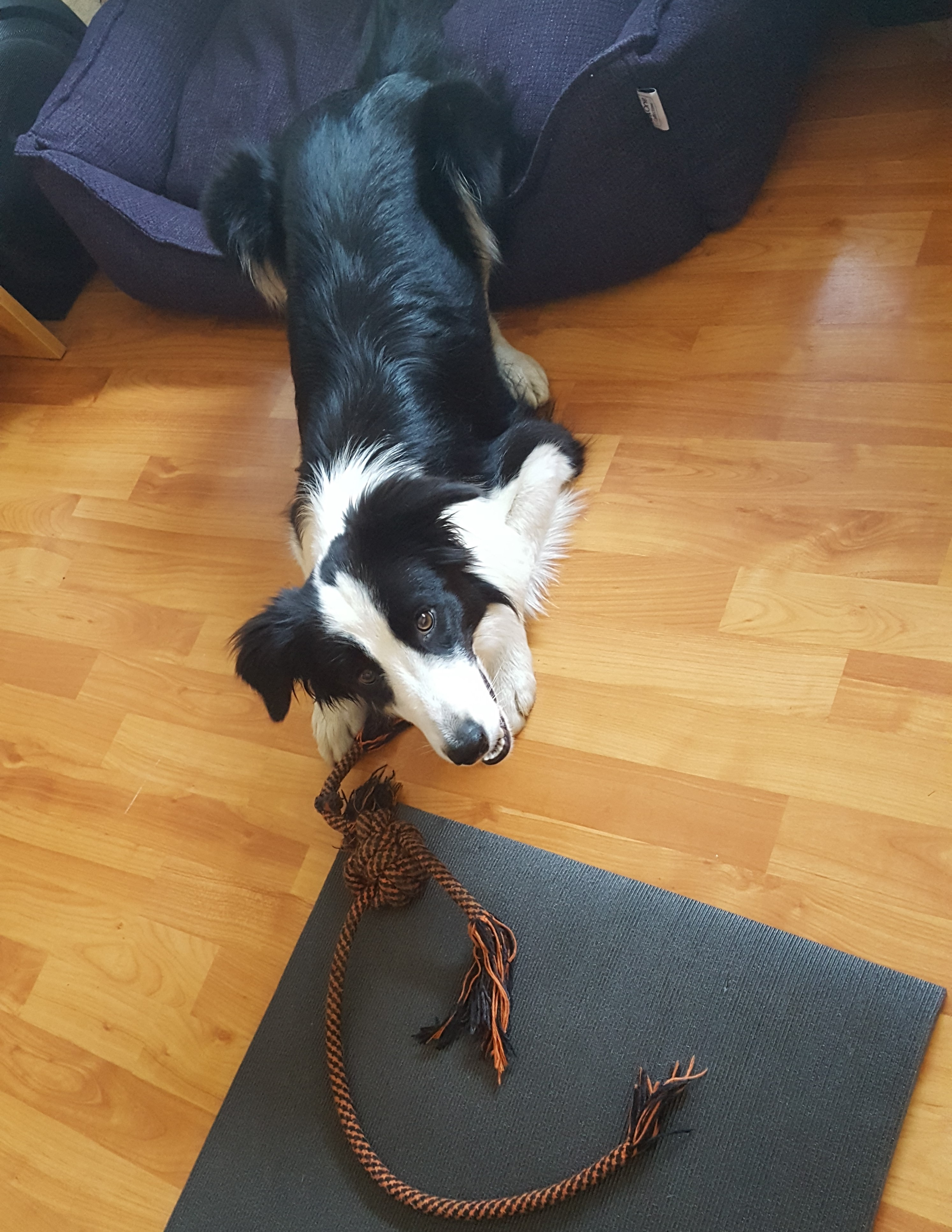 20181118_120023.jpg