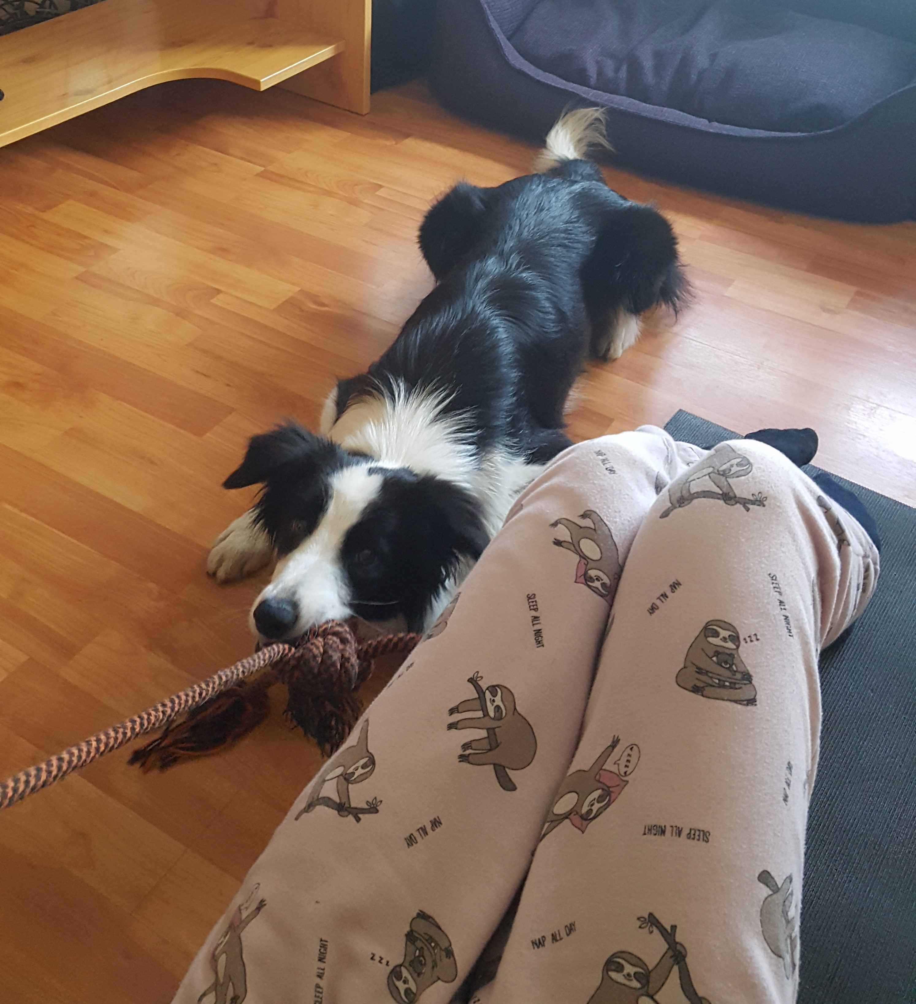 20181118_120142.jpg