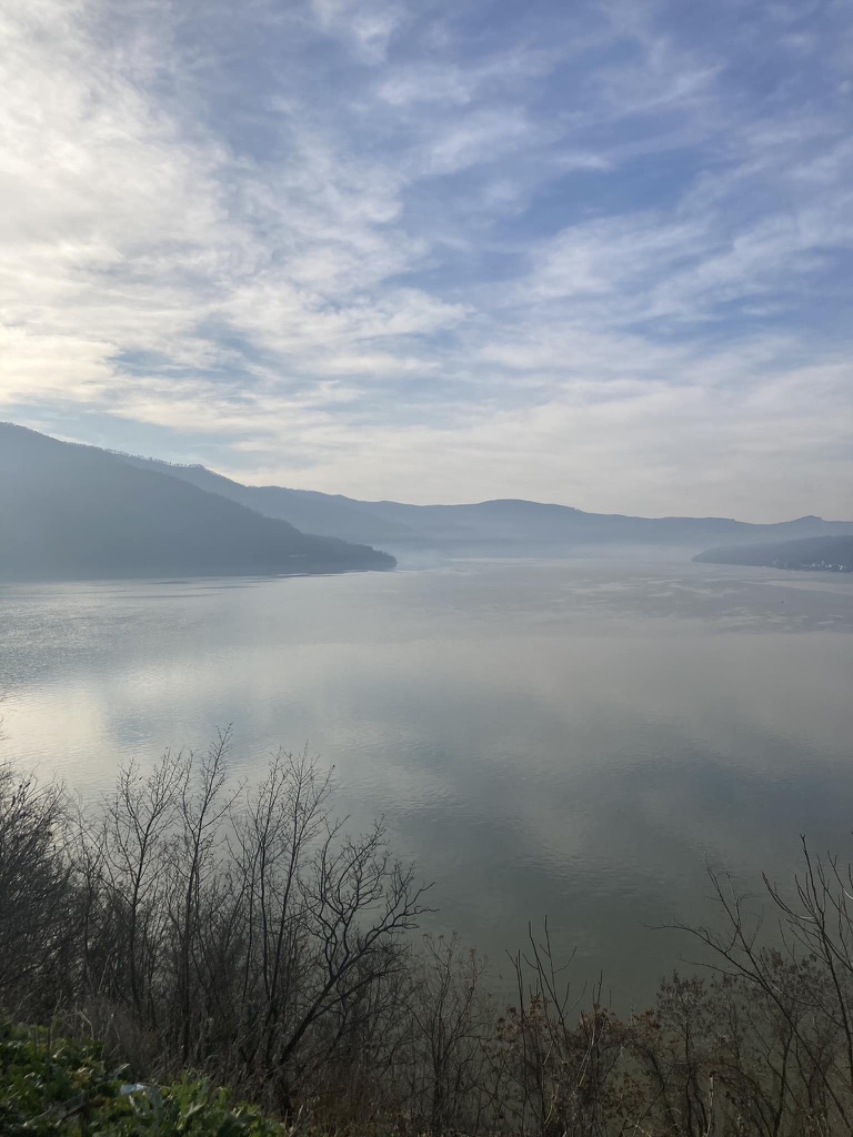 13b240f0-1d3b-472f-80de-b781e58ad4ea_1_105_c.jpeg