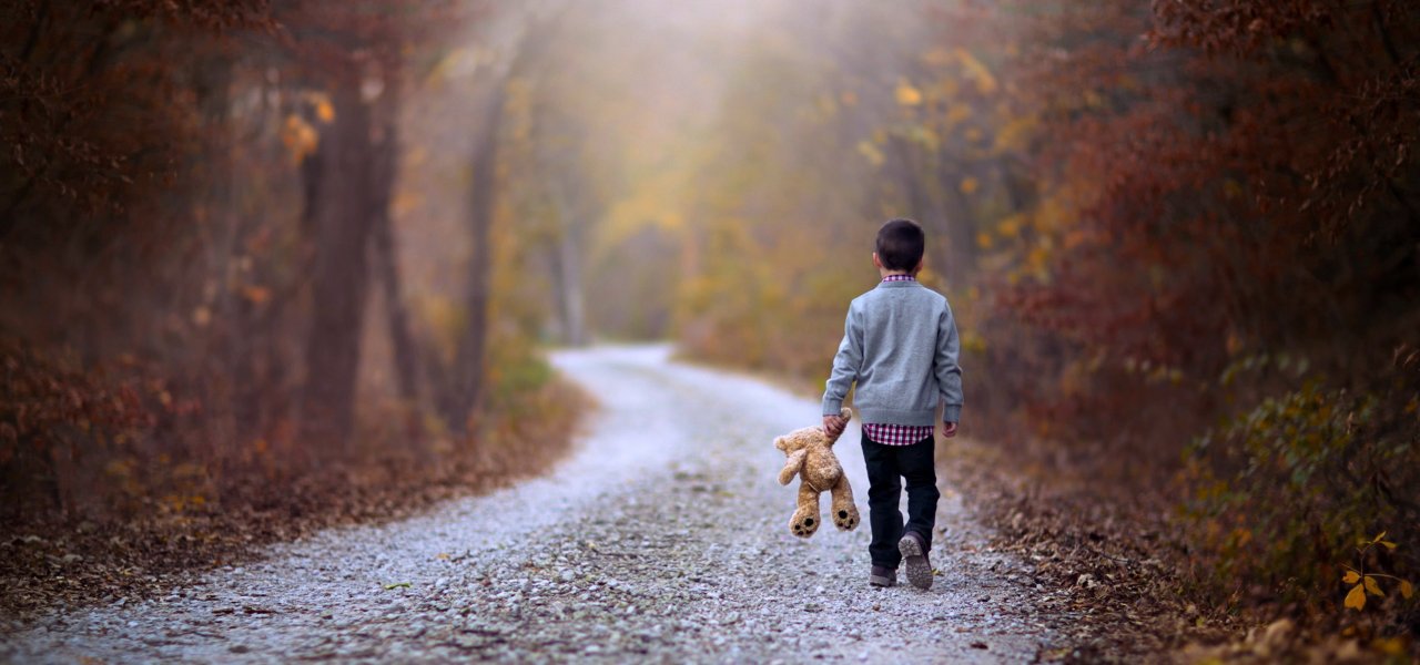 kids_children_childhood_teddy_bear_road_way_path_walking_alone_lonely_forest_jungle_landscapes_nature_earth_1280x600.jpg
