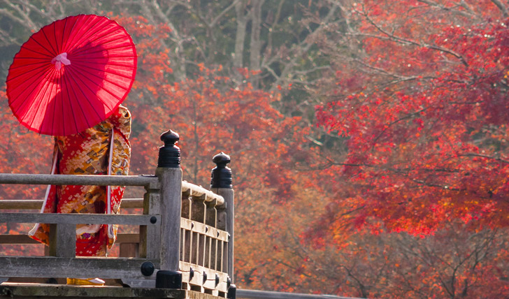 a-geisha-stands-on-a-wooden-bridge-in-nara_165890177.jpg